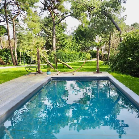 Avec Piscine Au Coeur De La Foret Villa