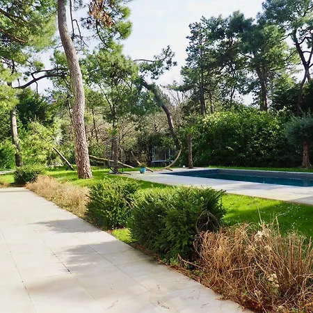 빌라 Avec Piscine Au Coeur De La Foret Le Touquet