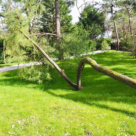 빌라 Avec Piscine Au Coeur De La Foret *